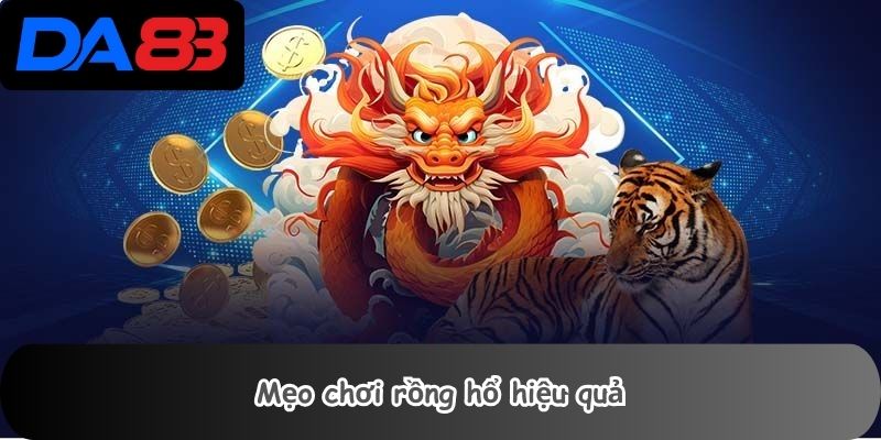 Mẹo chơi rồng hổ hiệu quả